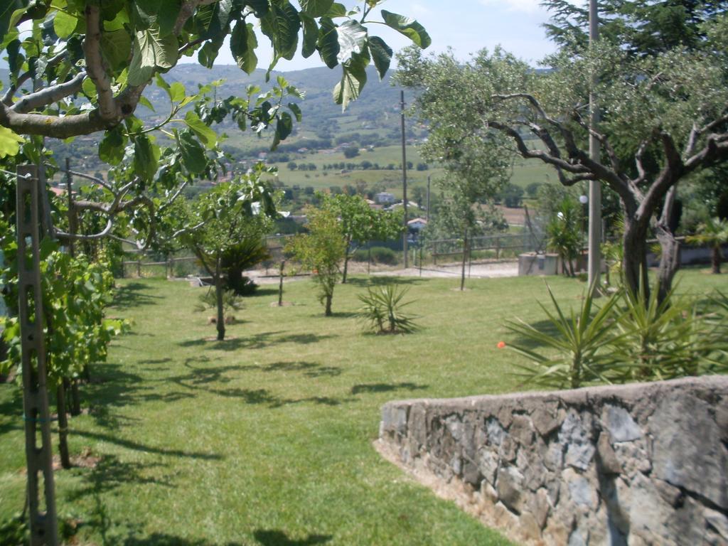 La Selva 2*