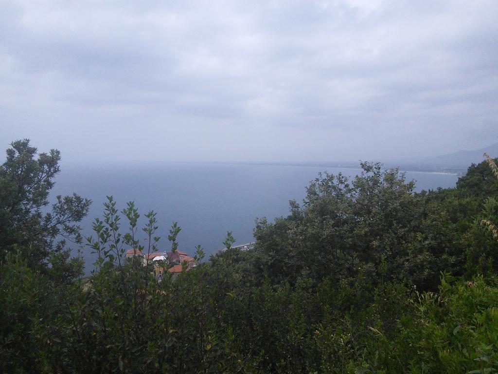 La Selva 2* Agropoli